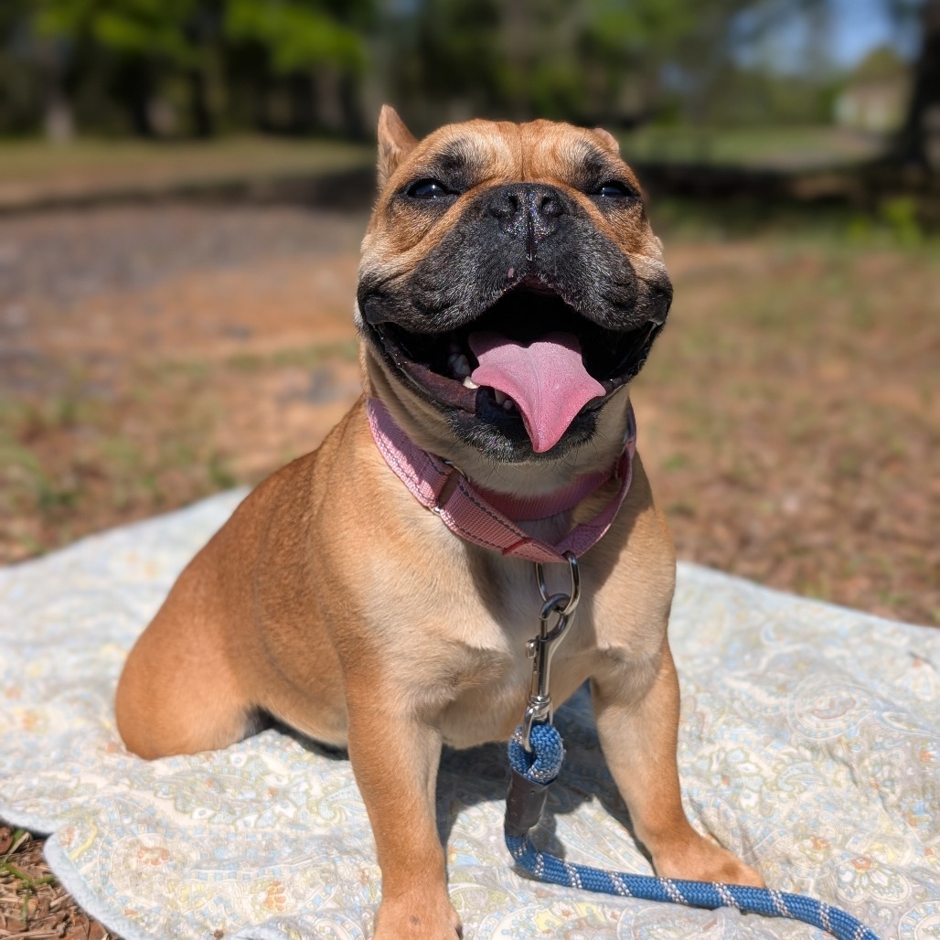 Mitzi 04-0512