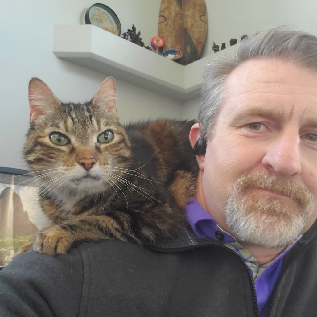 Squeak, an adoptable Domestic Short Hair in Coos Bay, OR, 97420 | Photo Image 3