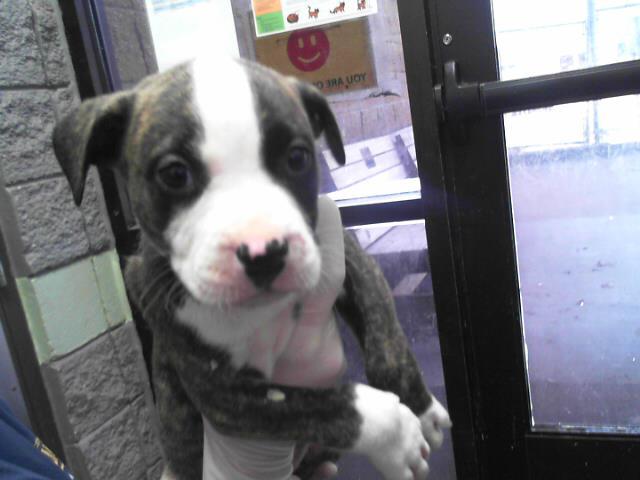 MANNY