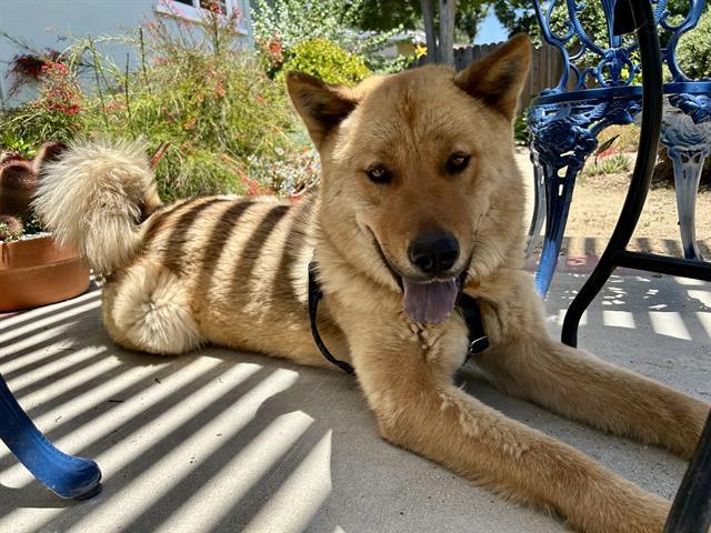 GOVENOR BARKIN