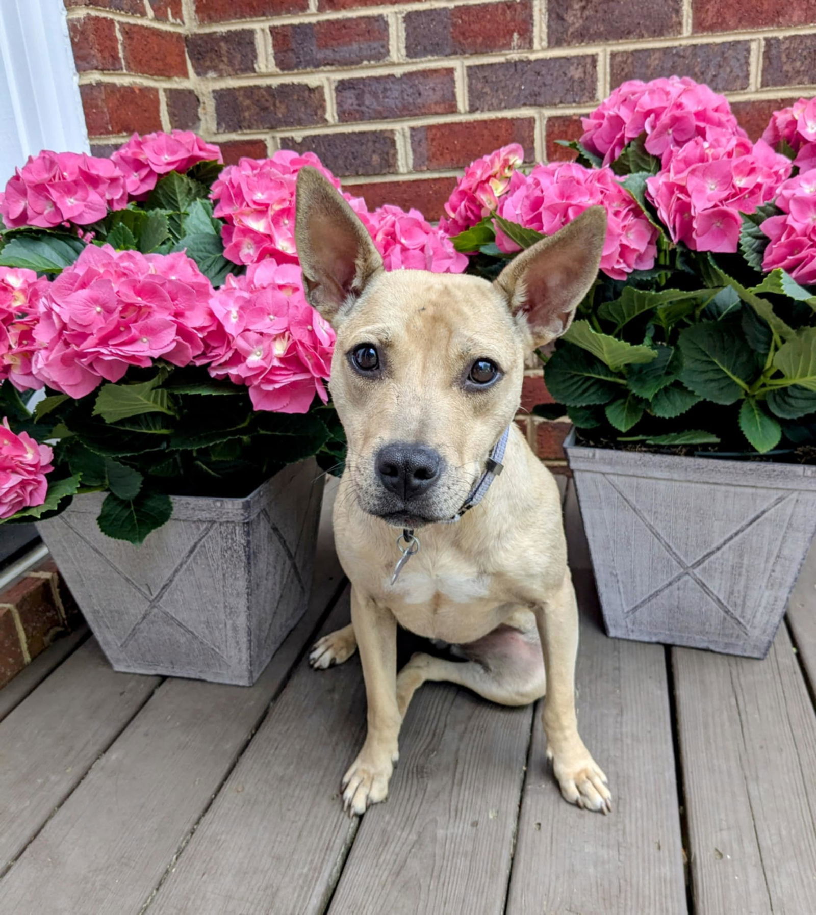 Chloe