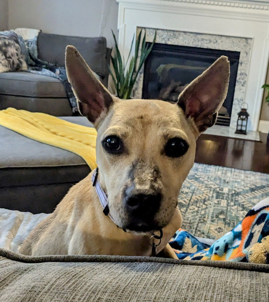 Chloe