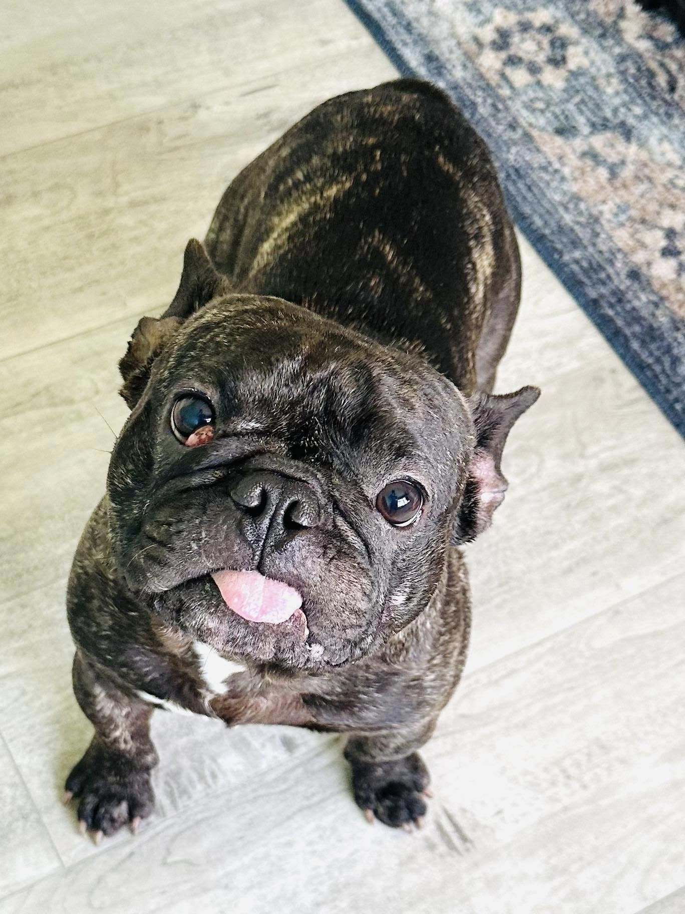 Piggy
