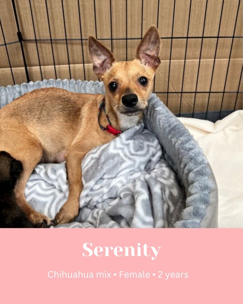 Serenity