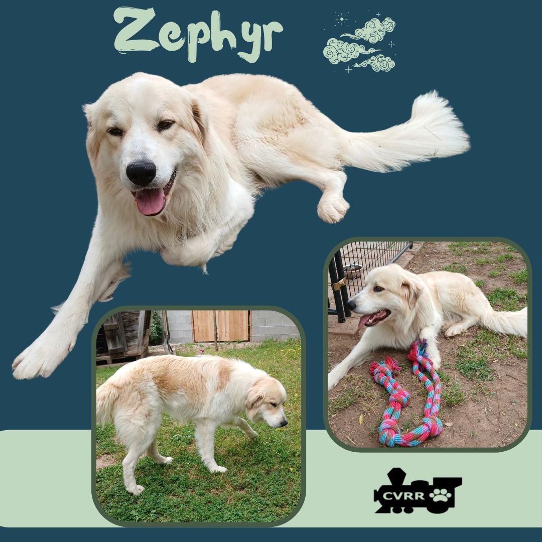 Zephyr