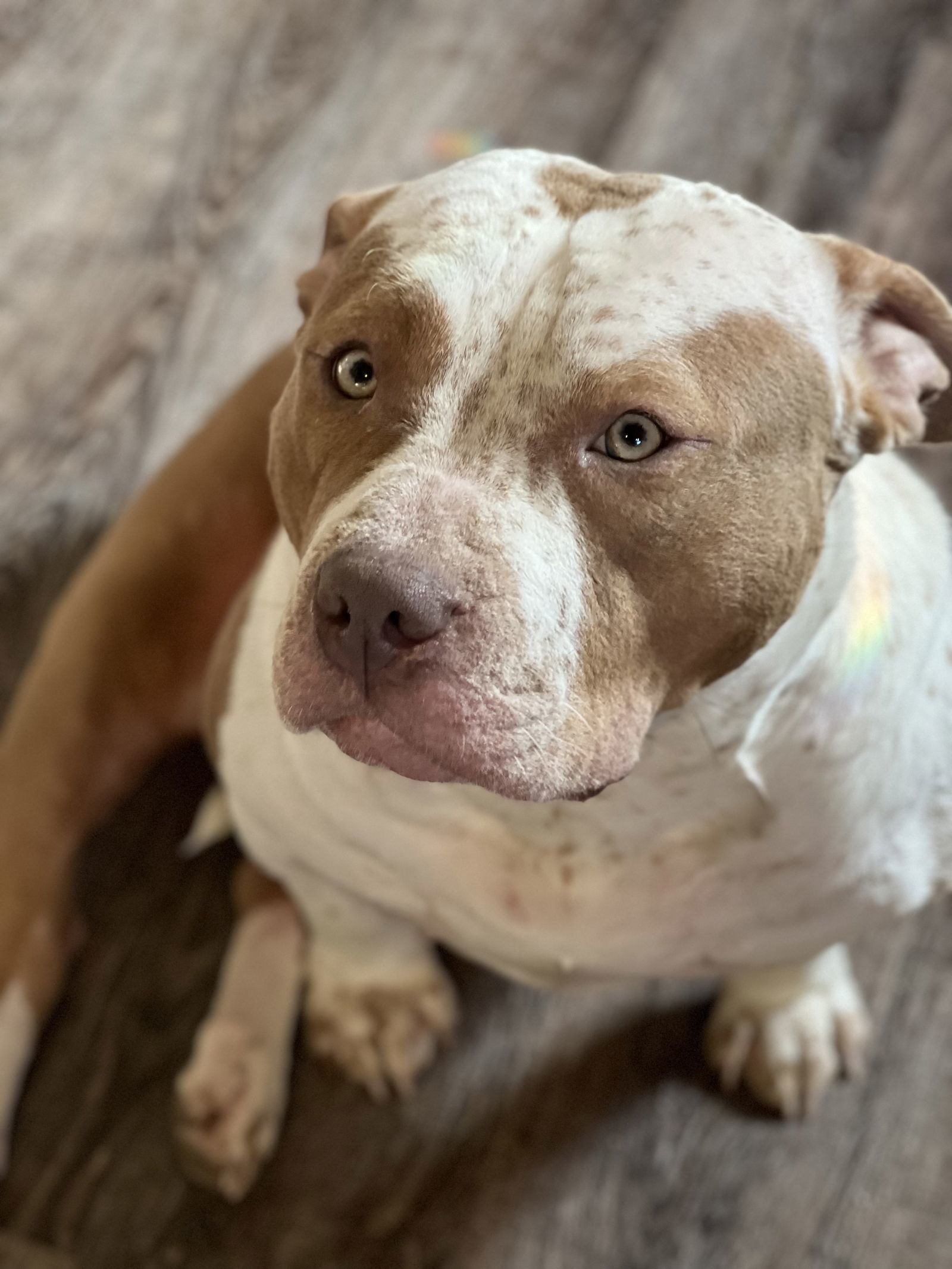 Rosie X (New Digs)