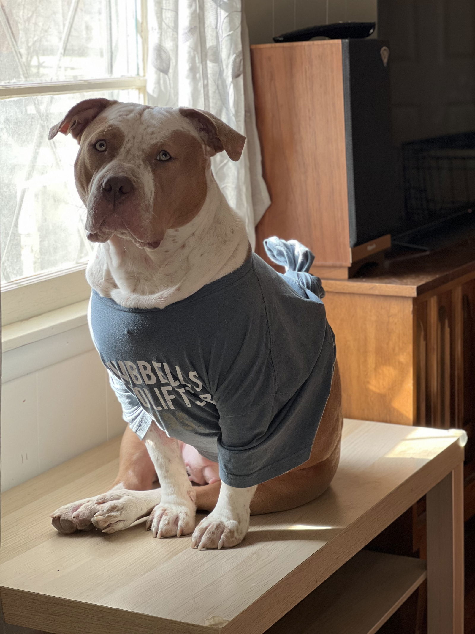Rosie X (New Digs)