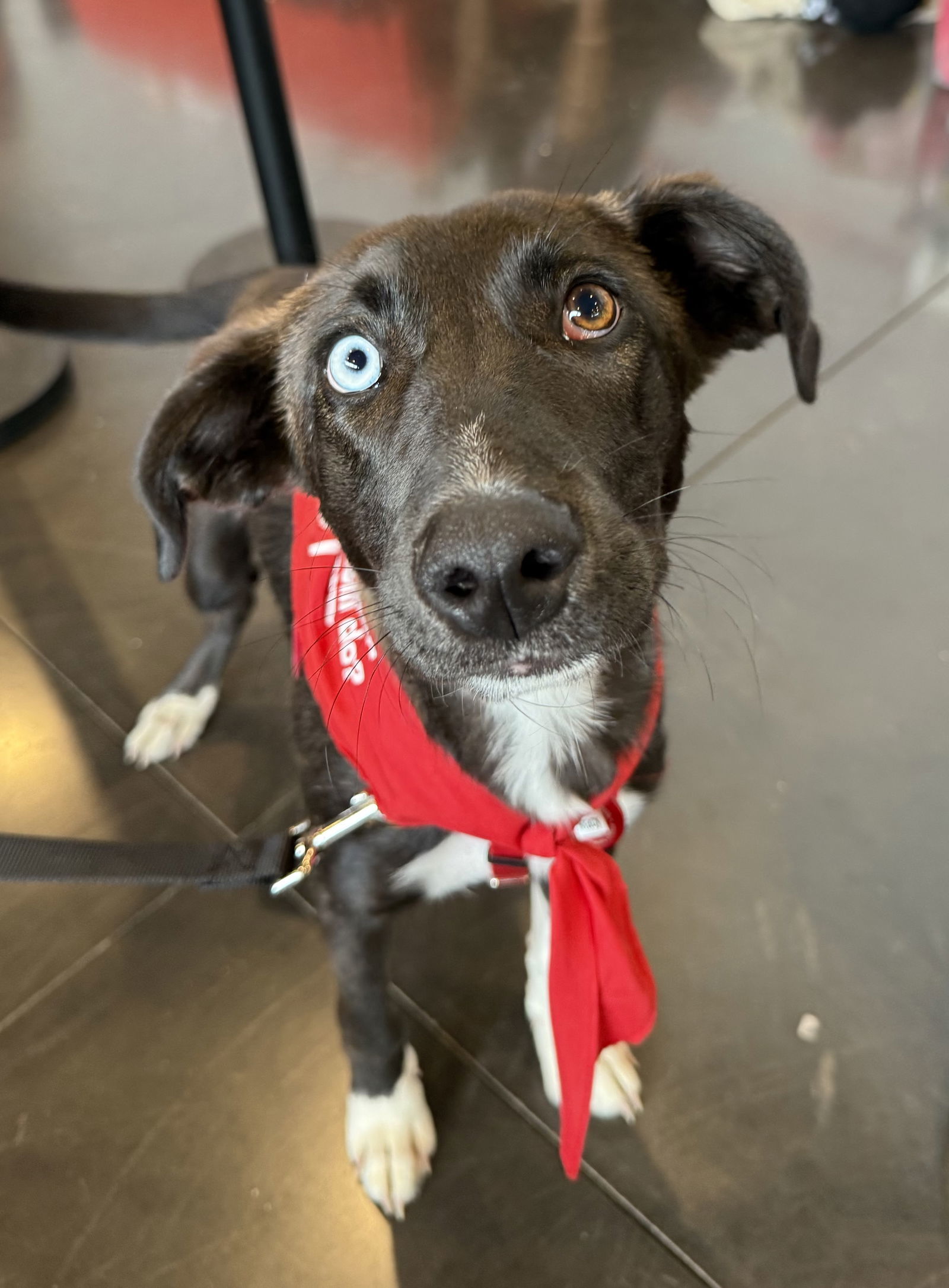 Macy *LOCAL* MEET ME!