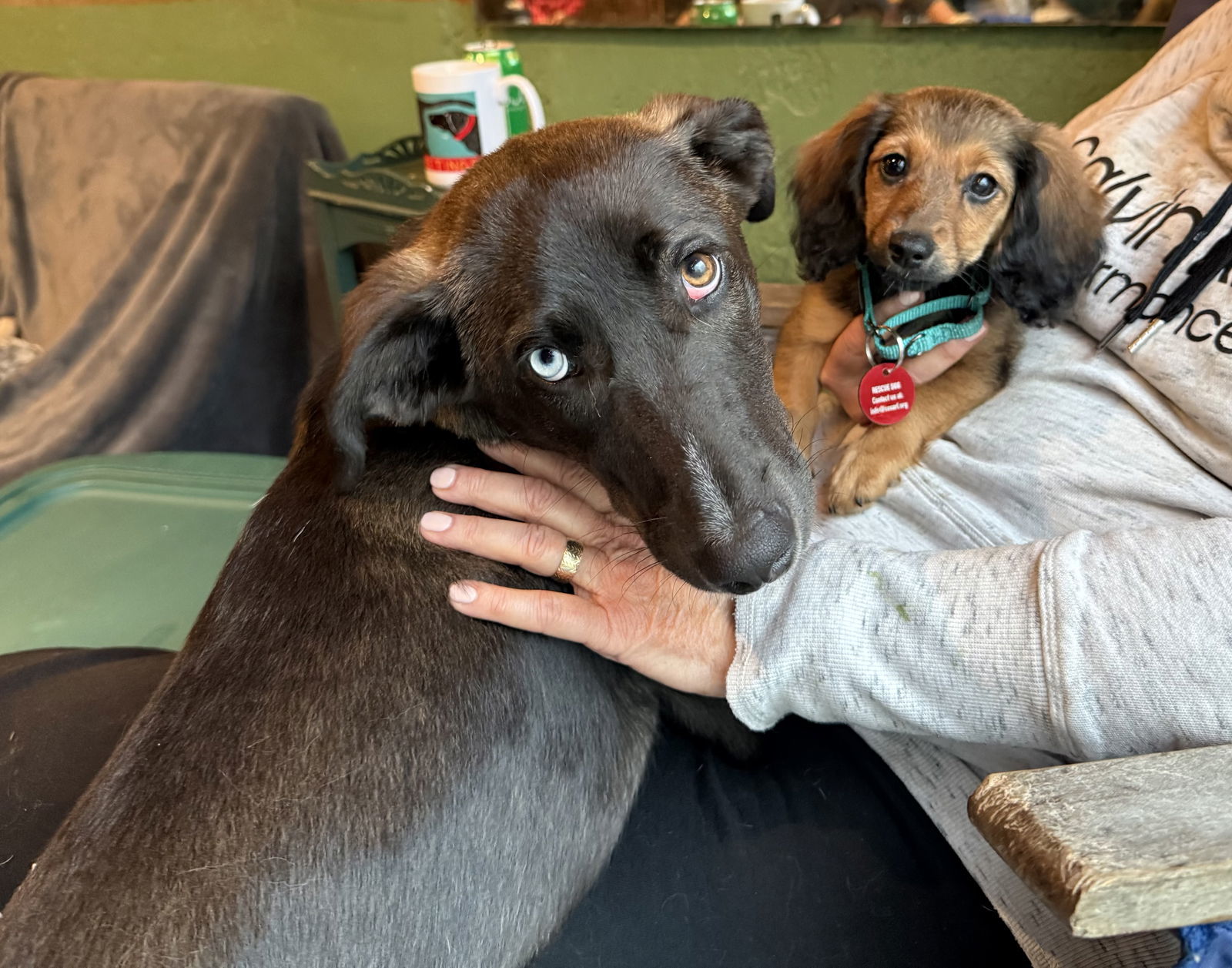 Macy *LOCAL* MEET ME!