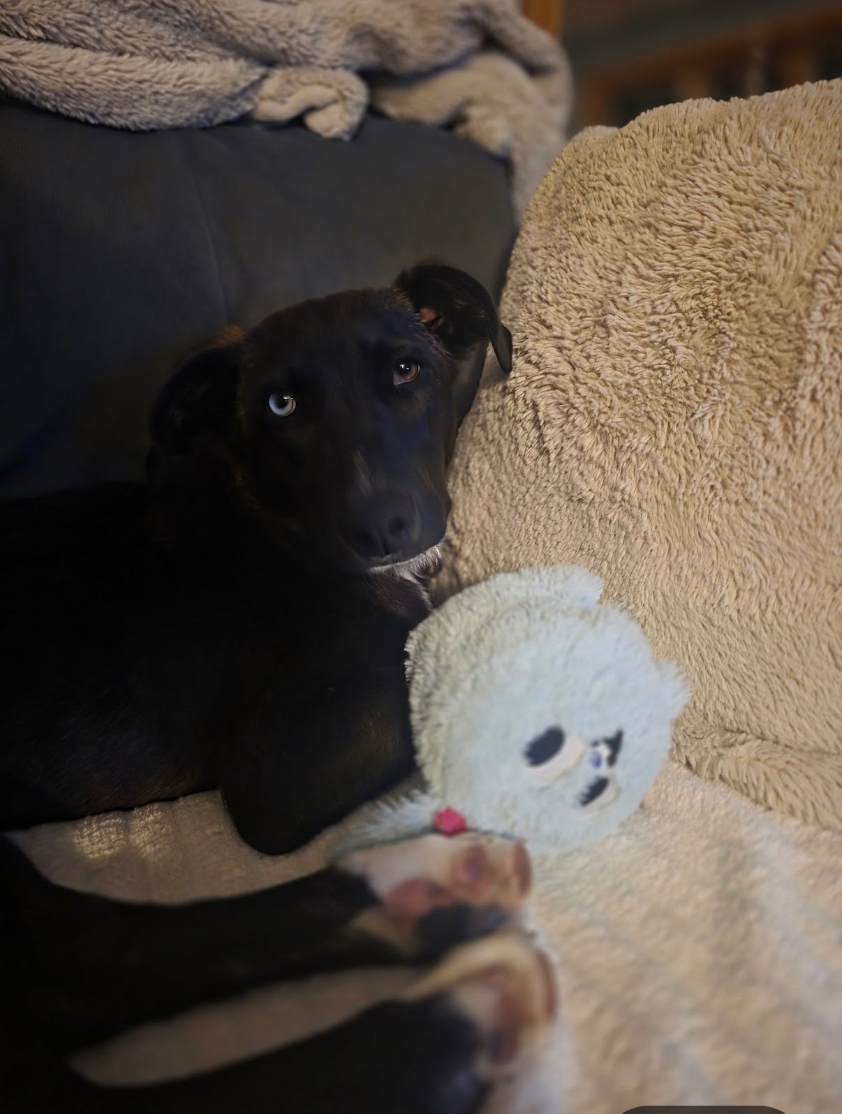 Macy *LOCAL* MEET ME!