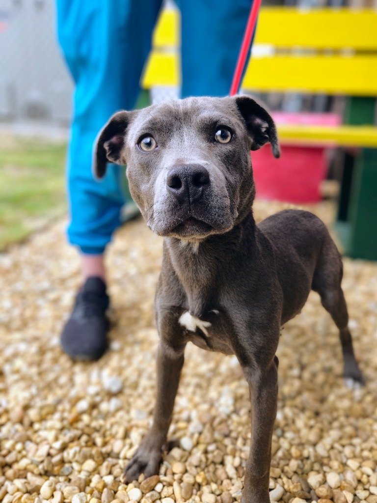 Georgia