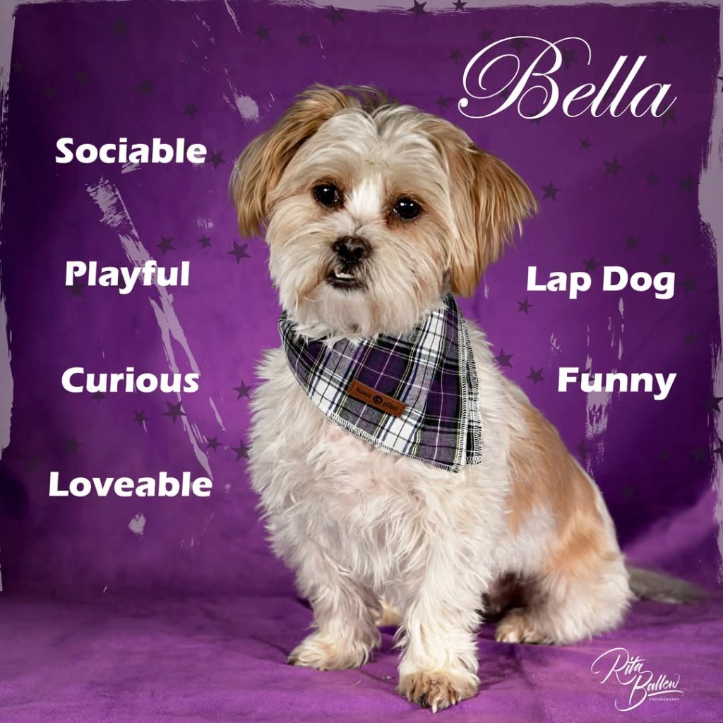 Bella