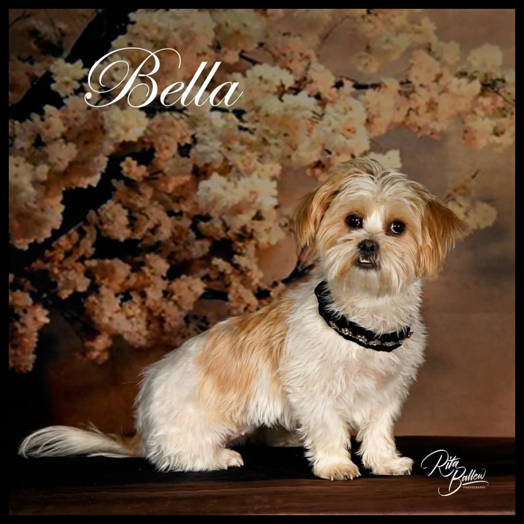 Bella