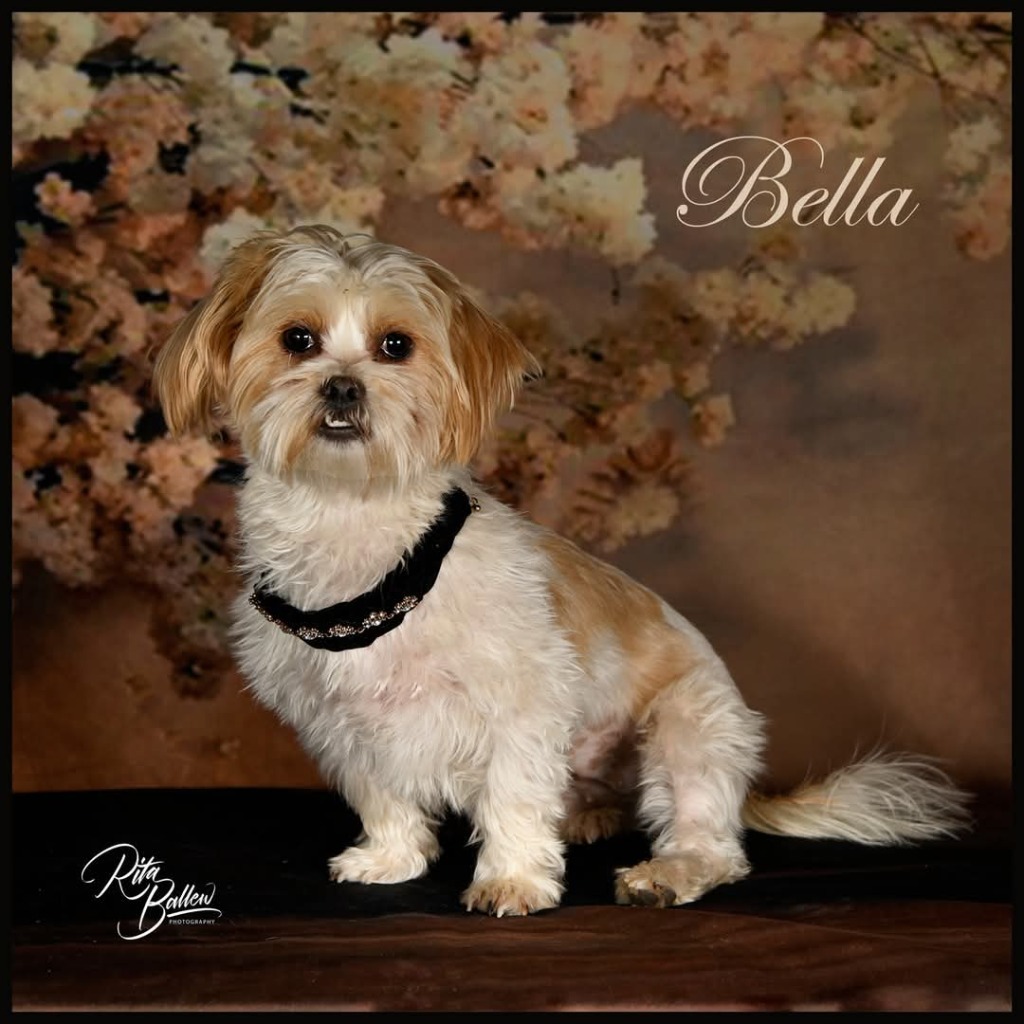 Bella