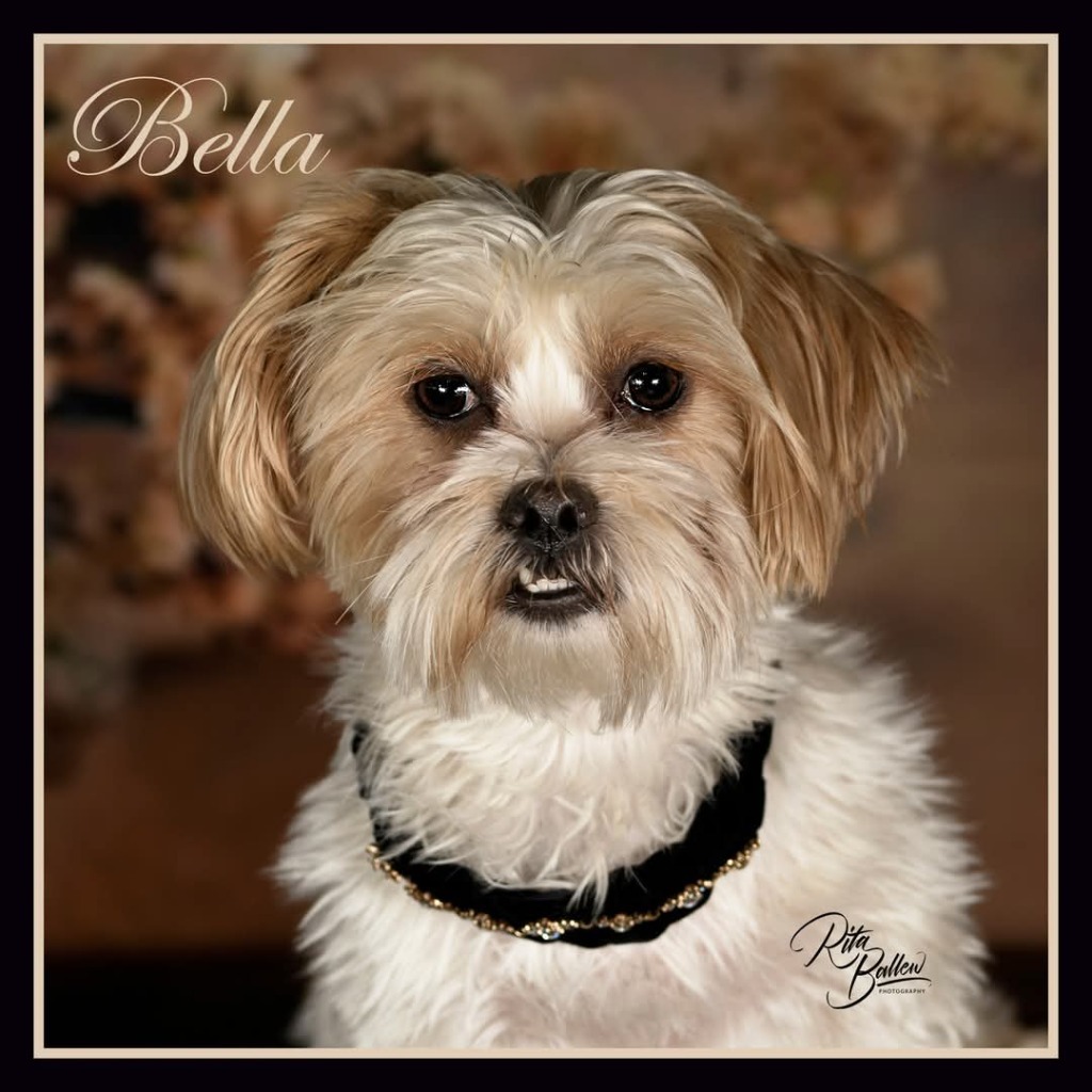 Bella