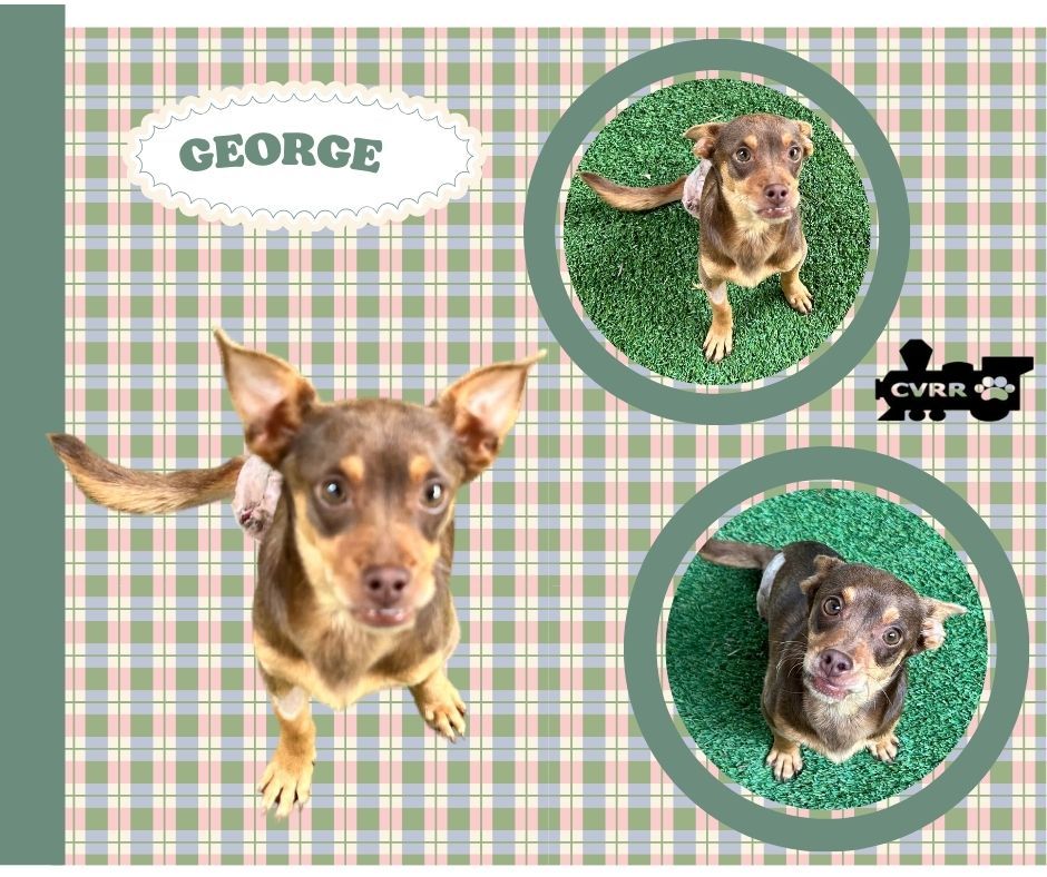 George