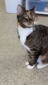Olivia photo 2