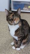 Olivia photo 3