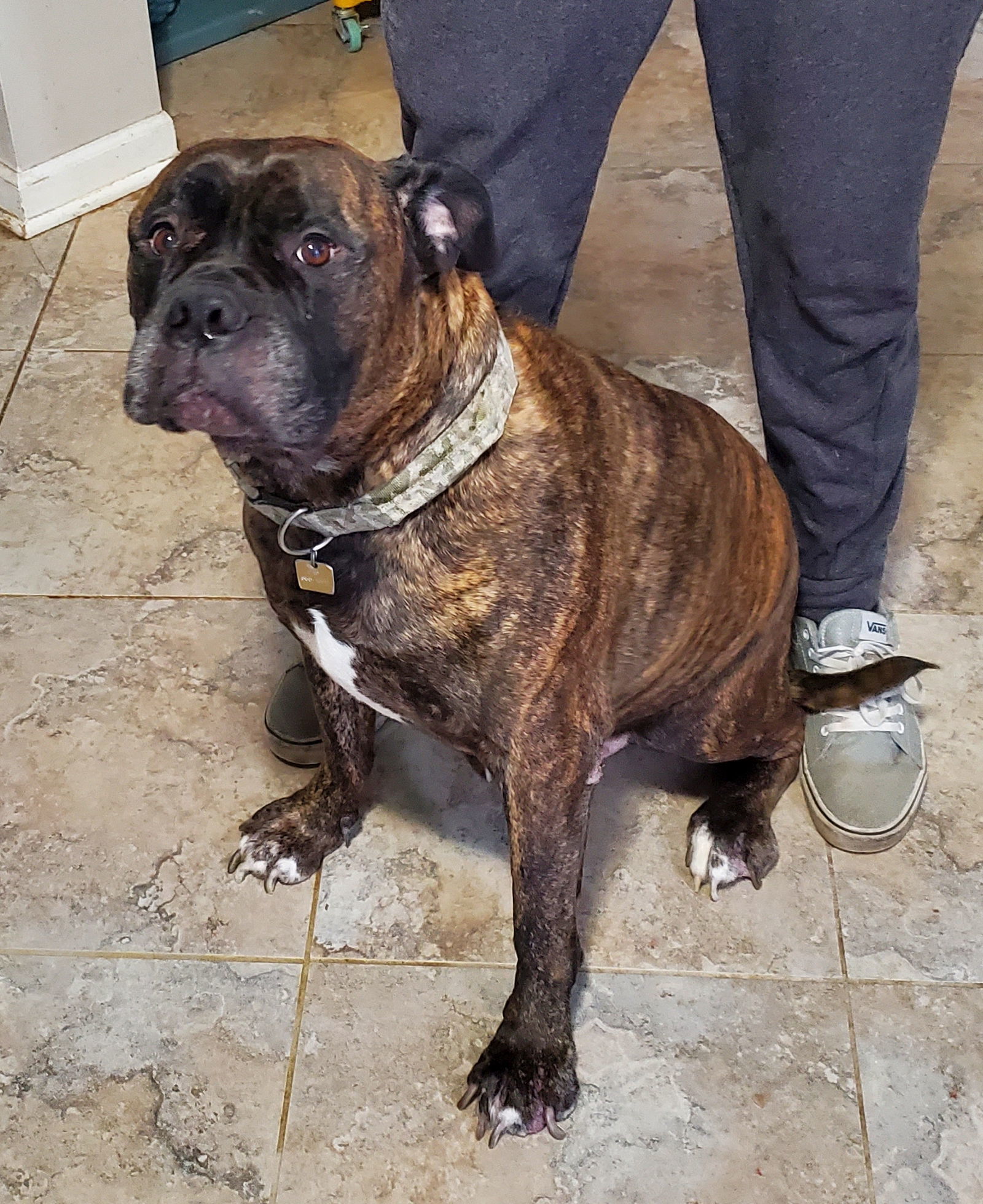 Dozer