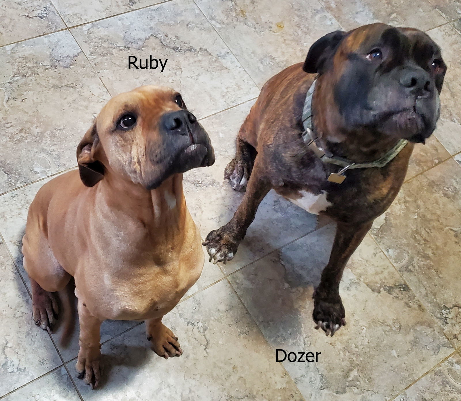 Dozer