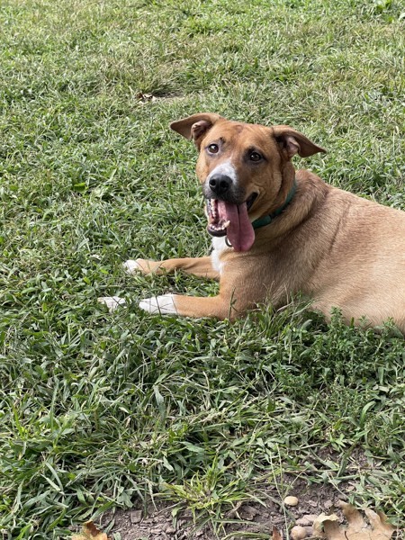 Coco