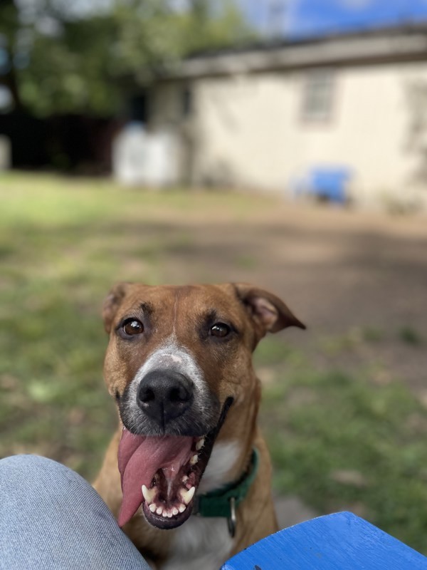 Coco