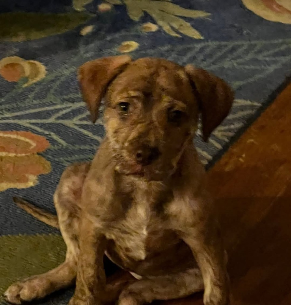 Lucy