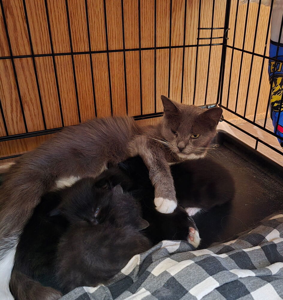 Mama Luna