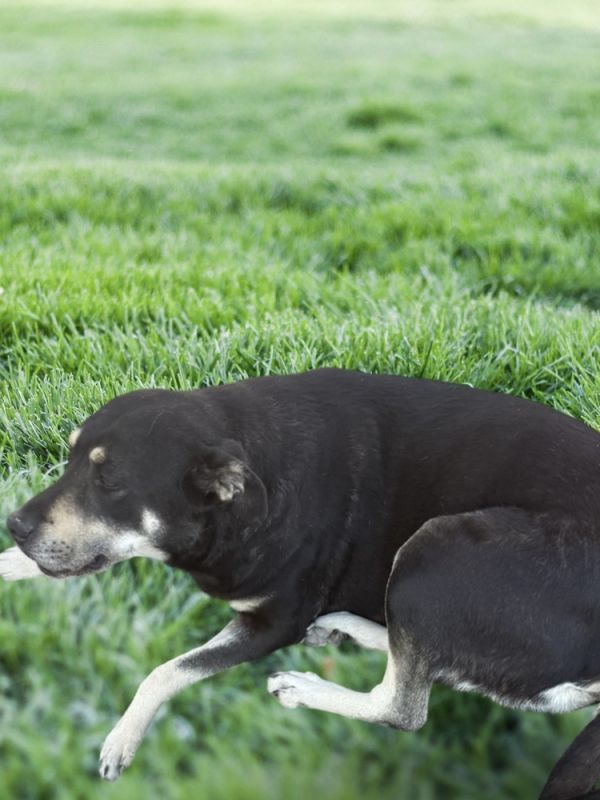 Precious thumbnail 3