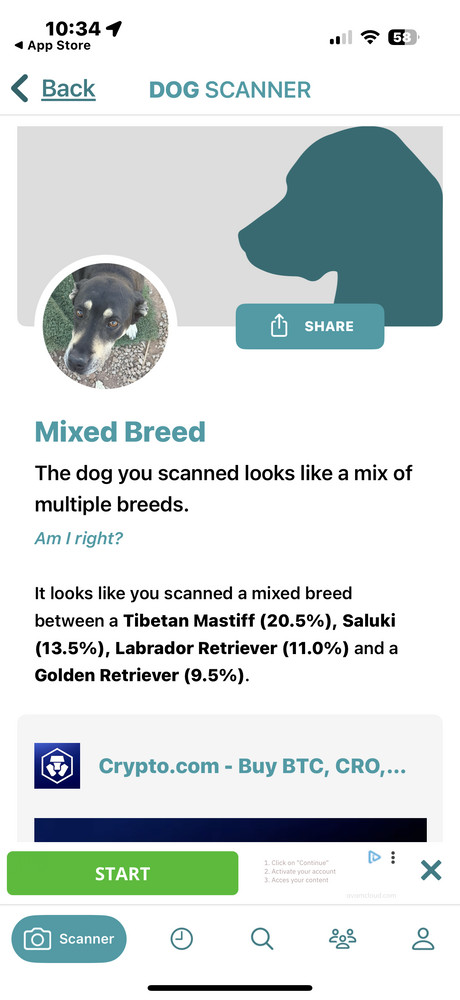 Precious thumbnail 6