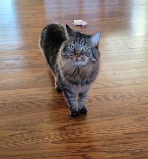 Birthdate 06152016 Breed One of a kind Check out my Video Enjoying some pets Playing with my w