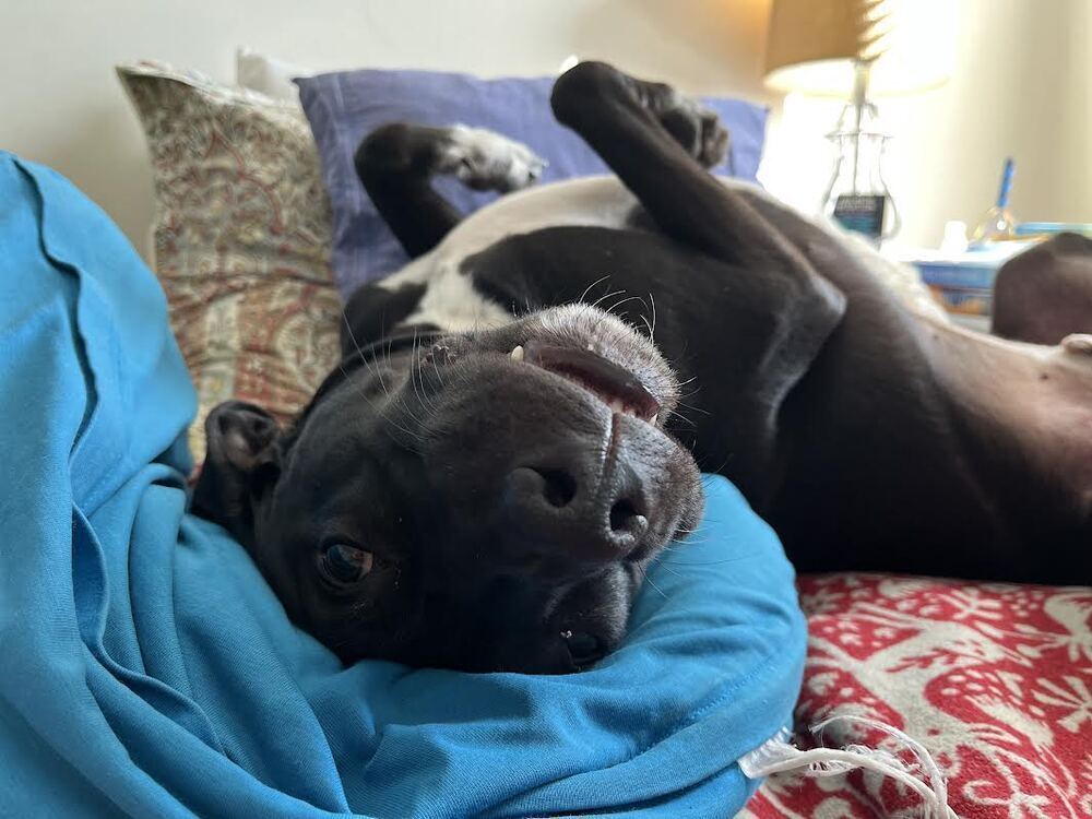 Otis