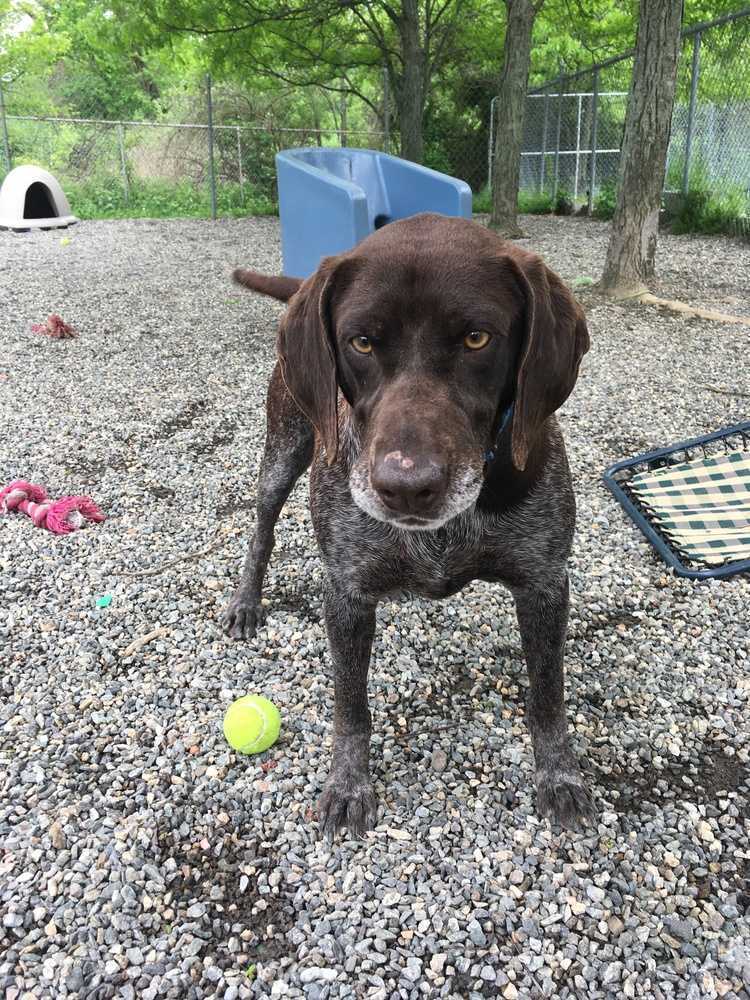 Remi