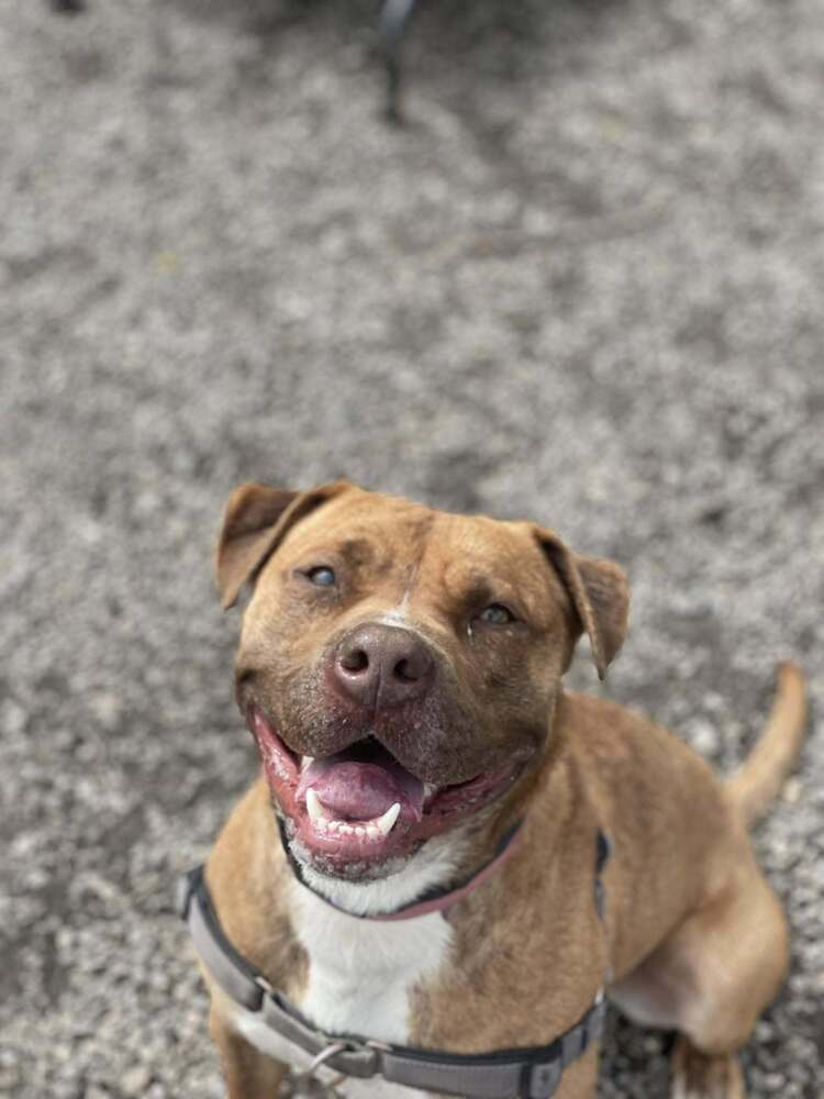 Zeus