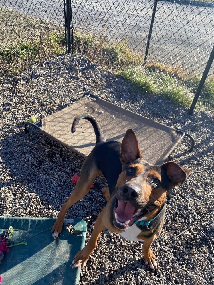 Duke