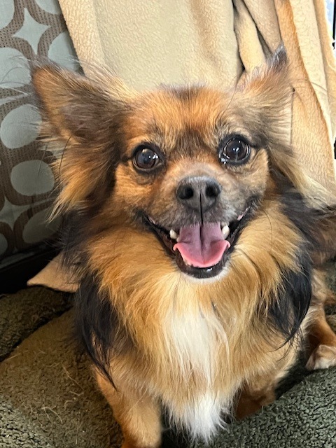 Barkley