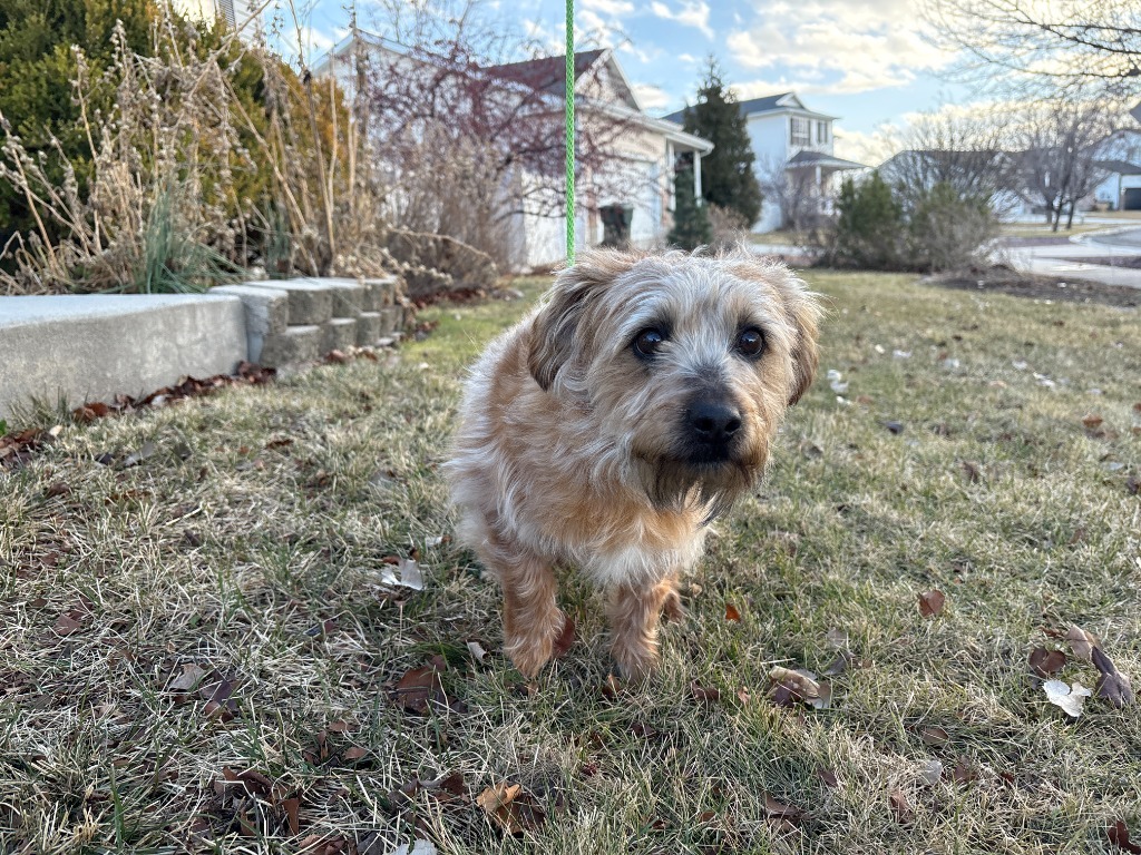 Wilbur