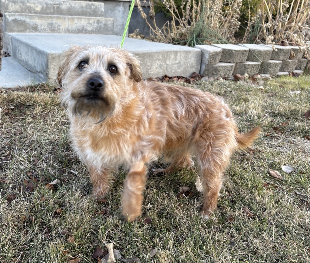 Wilbur