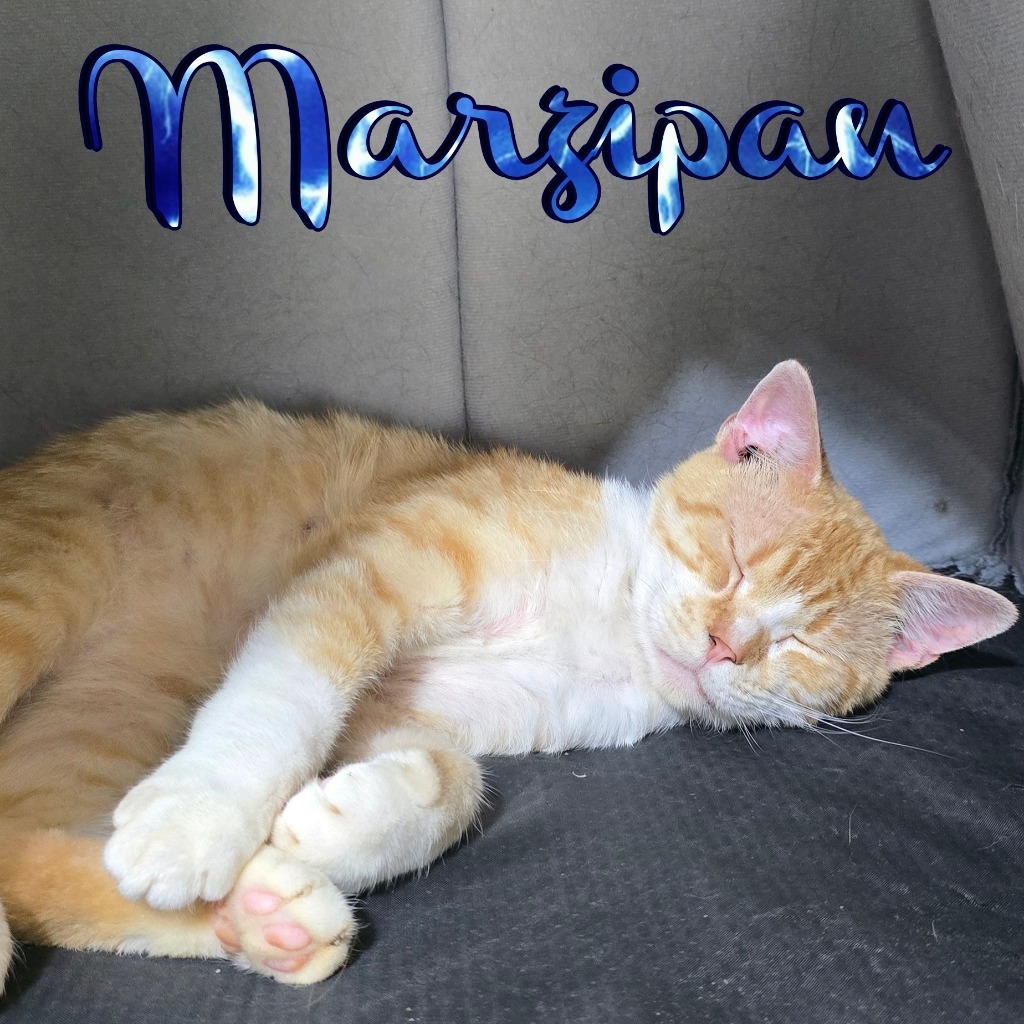 Marzipan