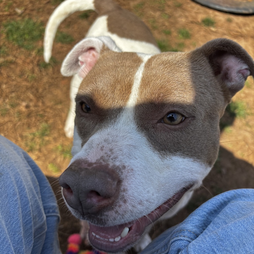 Walter