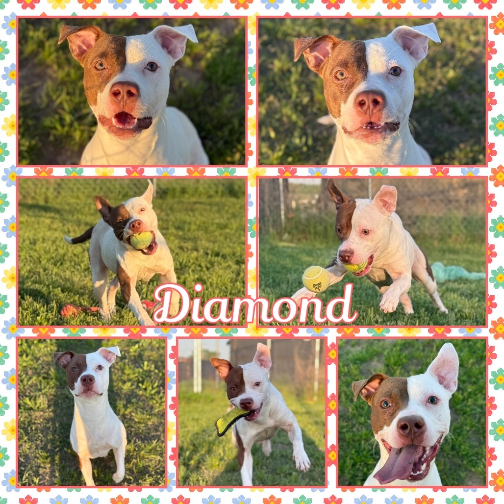 Diamond