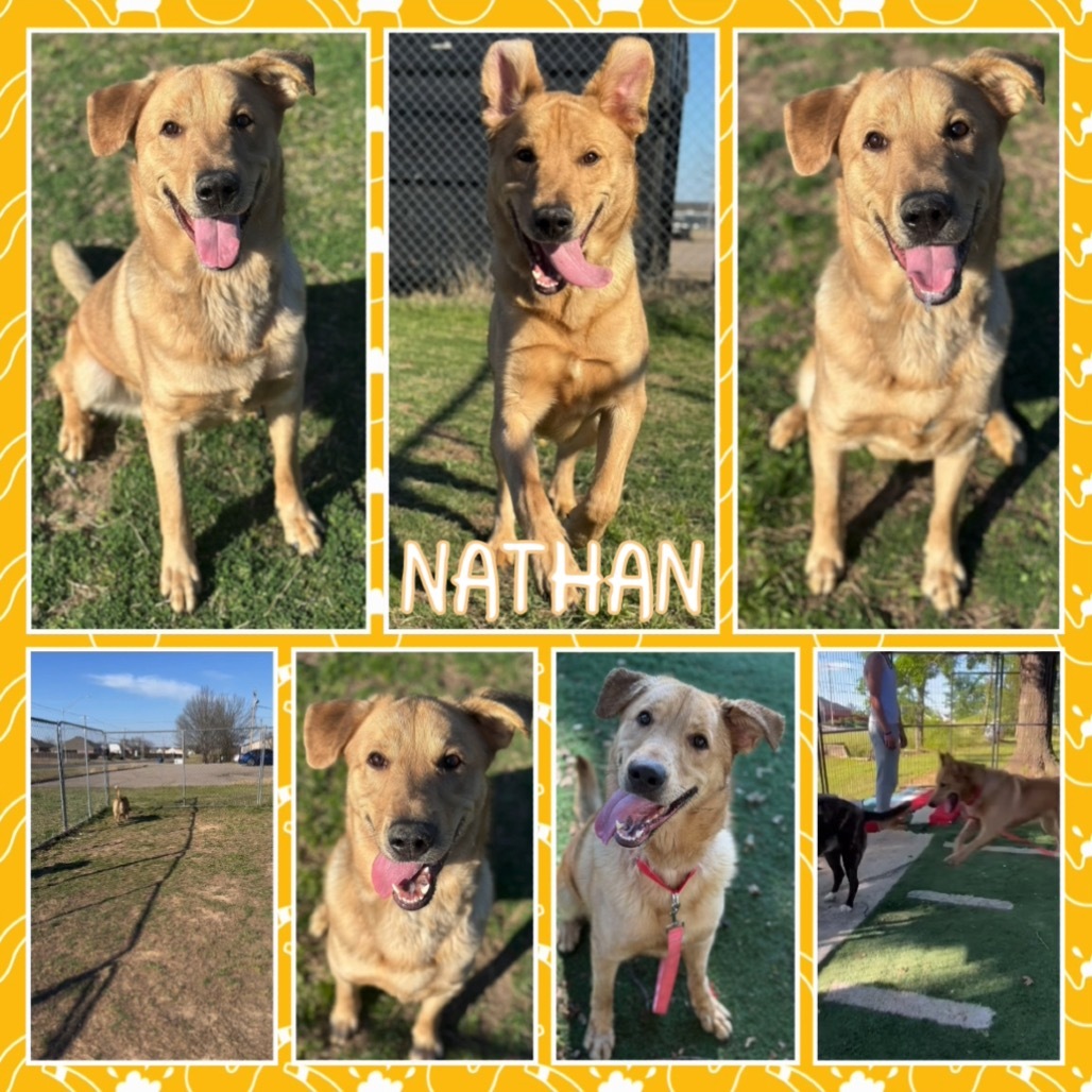 Nathan