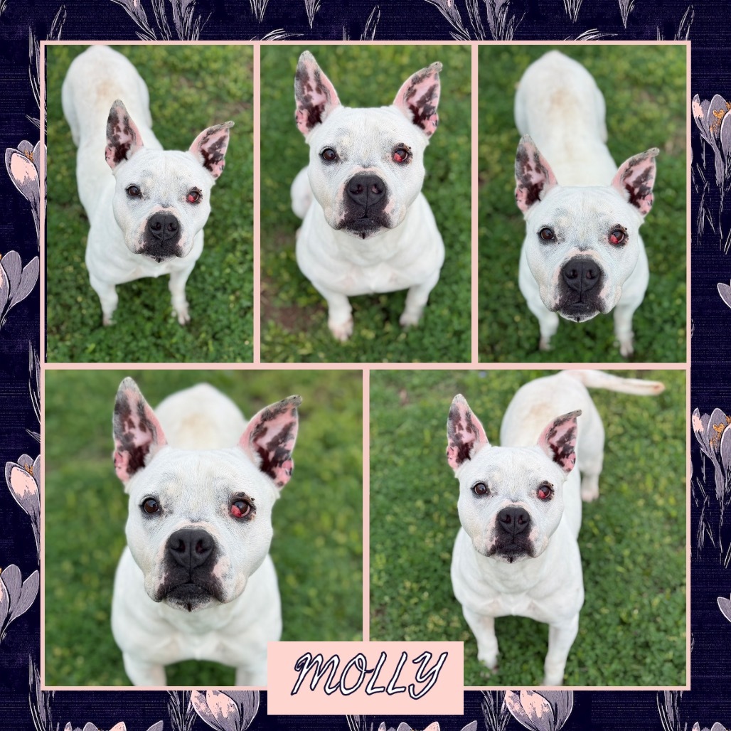 Molly