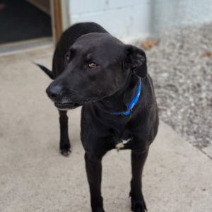 Lady Eloise, Senior Female unknown