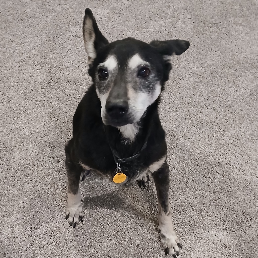 Max
