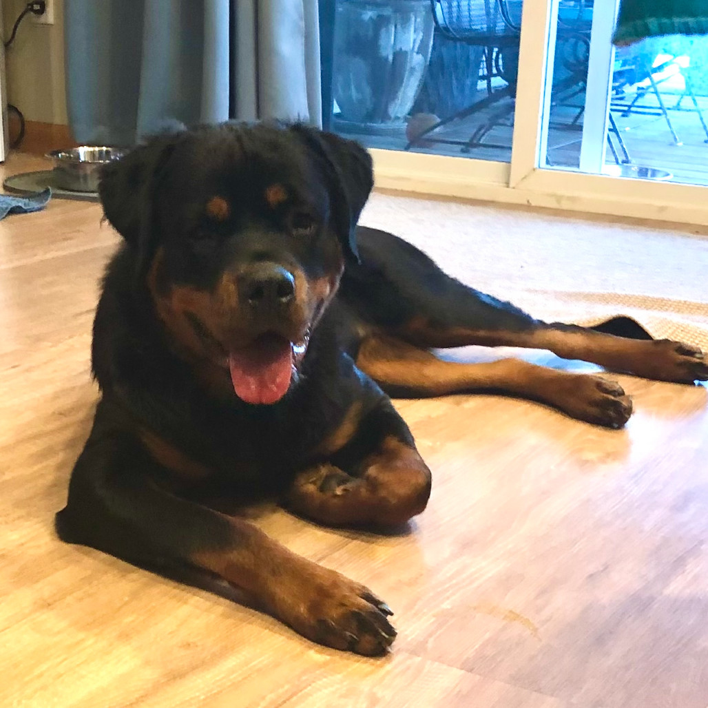 Nala