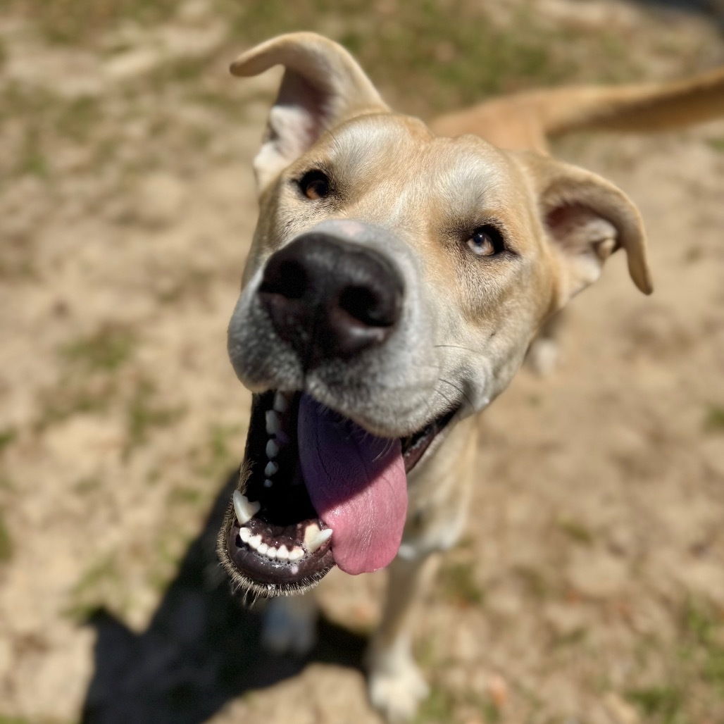 Benny