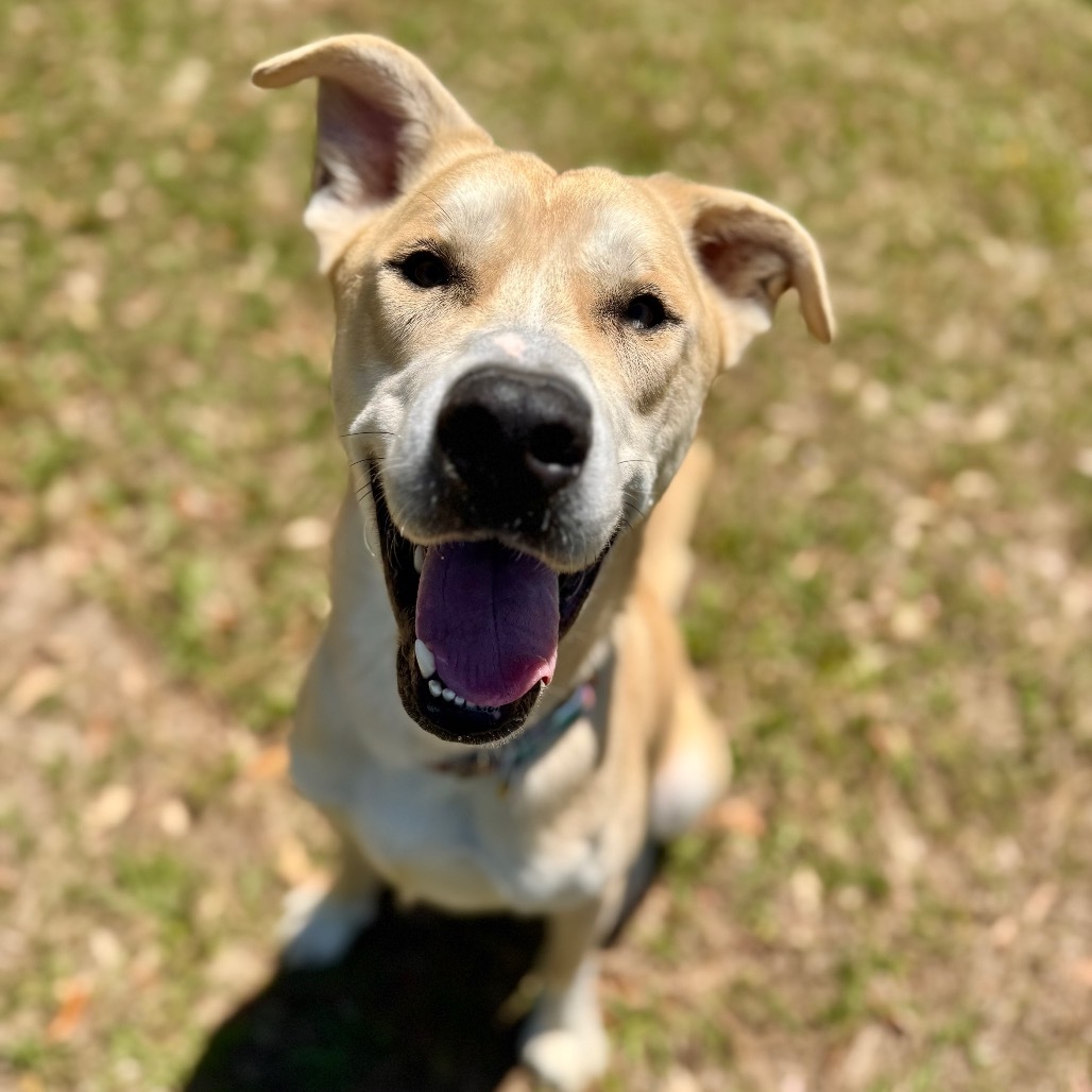 Benny