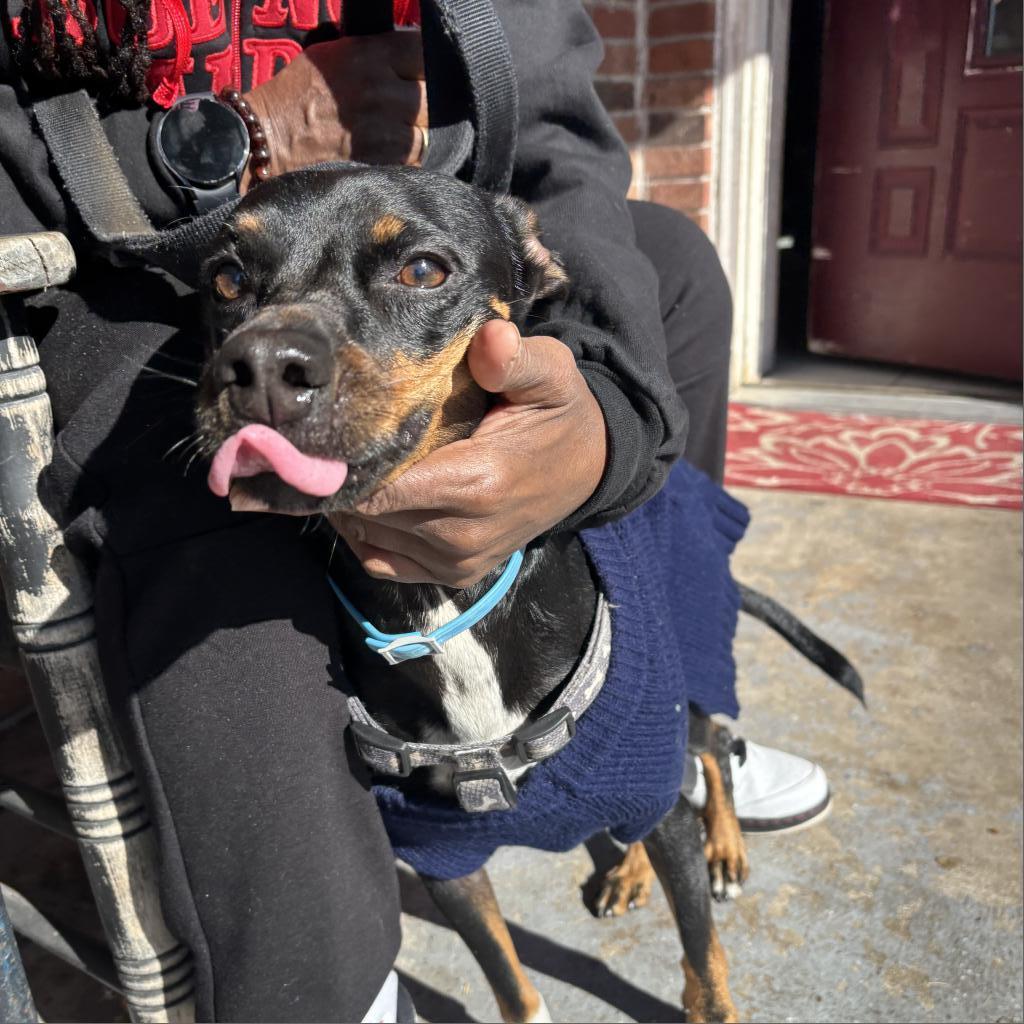Paco