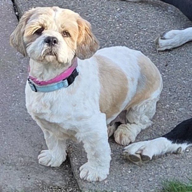 Elsie